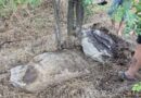 стародавній кромлех_Дніпропетровська область