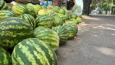 Стихійна торгівля під контролем: у Дніпрі проводять рейди Стихійна торгівля під контролем: у Дніпрі проводять рейди