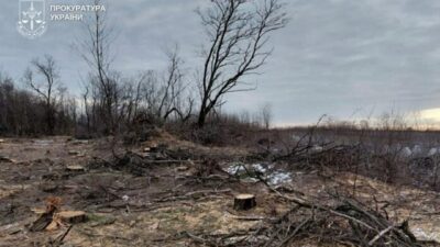 На Дніпропетровщині розслідують масштабне знищення лісозахисних смуг На Дніпропетровщині розслідують масштабне знищення лісозахисних смуг